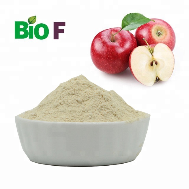 99% Apple Stem Cell Powder สารเติมแต่งอาหาร Apple Stem Cell Extract Powder 0
