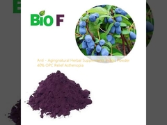 อาหารเสริมสมุนไพรธรรมชาติที่ป้องกันการแก่ตัว Indigo Powder 40% OPC Relief Asthenopia