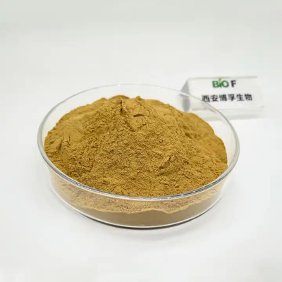 Food Grade Lions Mane Mushroom Extract Powder Organic Quality Raw Material