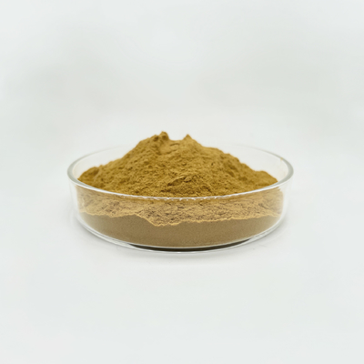 Hot Selling Hamamelis Virginiana Extract Powder 10:1 Witch Hazel Extract
