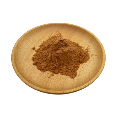 High Quality Ginkgo Biloba Extract Natural Organic GinkgoBiloba Leaf Extract Powder
