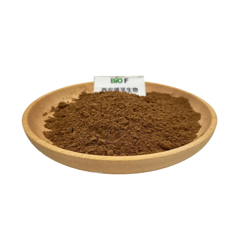 Natural Plant Extract Agaricus Blazei Extract Powder Herbal Supplement
