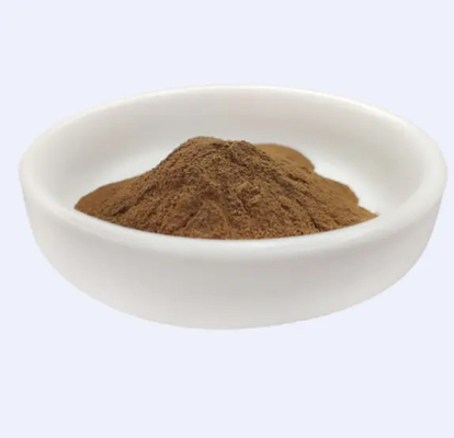 มีประสิทธิภาพสูง 100% สารธรรมชาติ Hamamelis Virginiana Witch Hazel Extract สําหรับเครื่องสําอาง วัสดุแท้ อายุการใช้ 24 เดือน